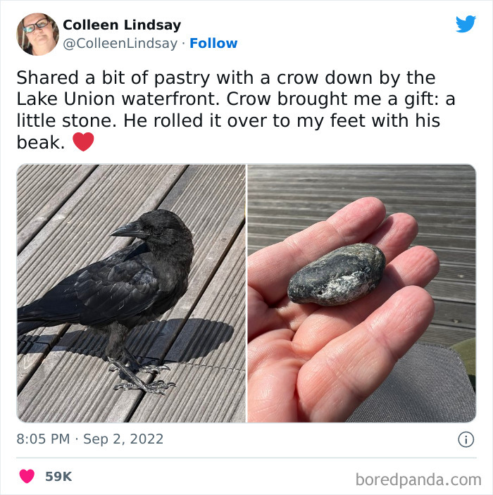 Blessed Crow