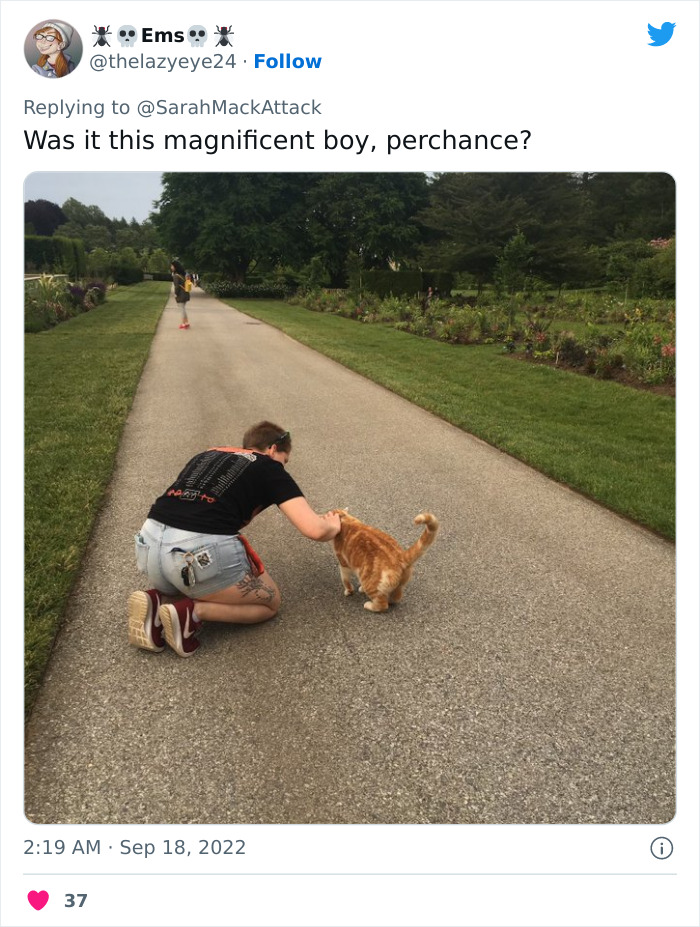 People Are Cracking Up At This Tweet In Which A Woman Tells How She Saw A Cat Being Escorted From A Botanical Garden