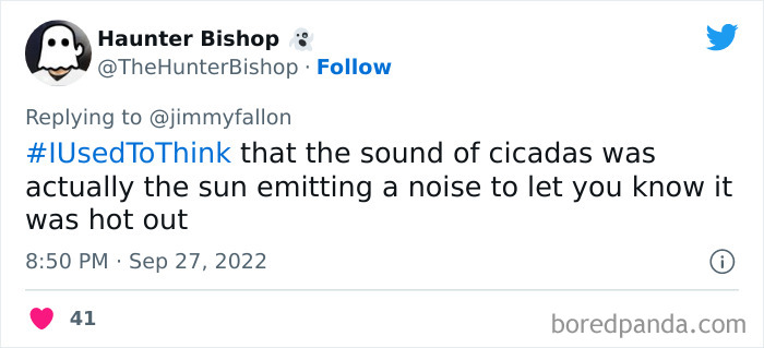 I-Used-To-Think-Jimmy-Fallon