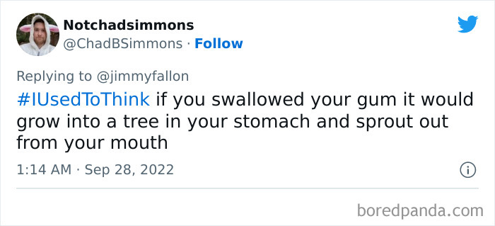 I-Used-To-Think-Jimmy-Fallon