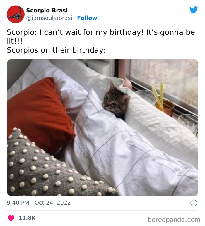 Scorpios can't wait for their birthdays and then lay in bed on their birthdays meme