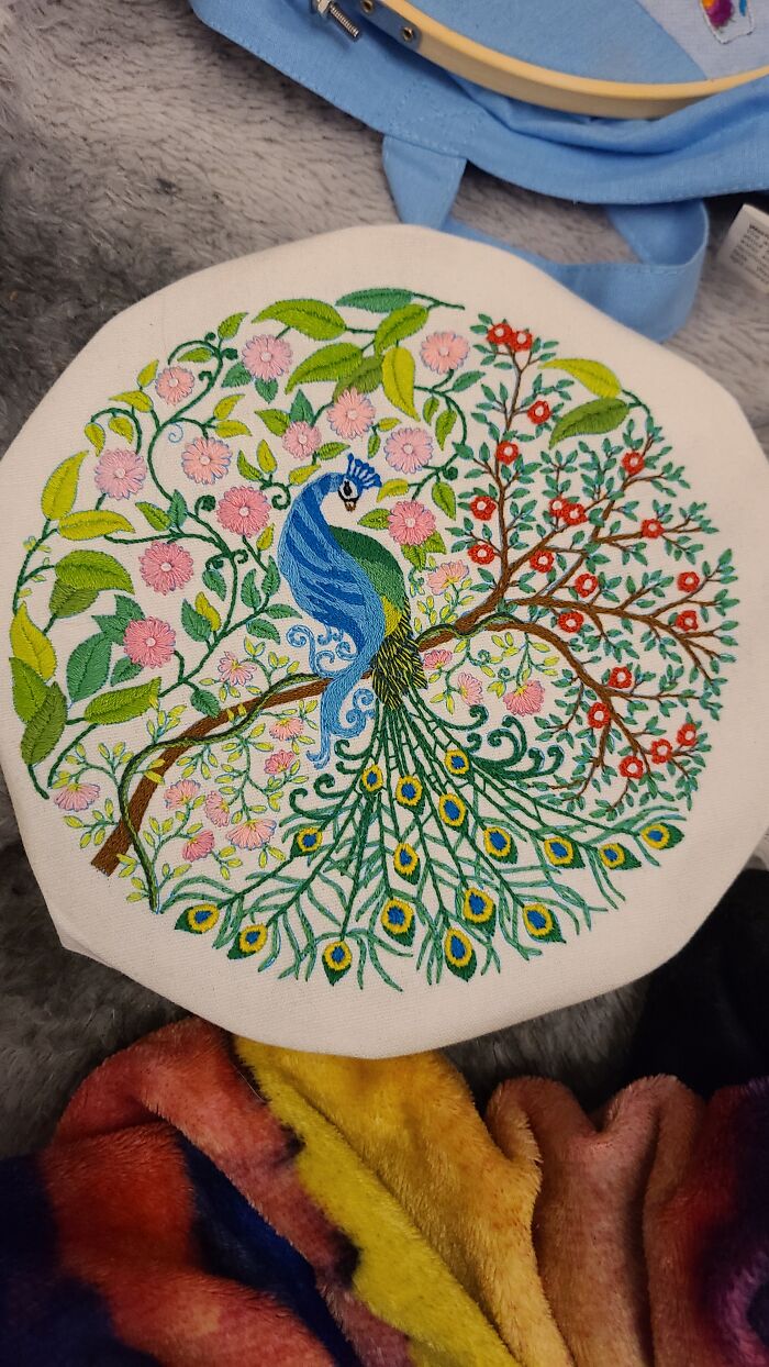 Learning To Embroider