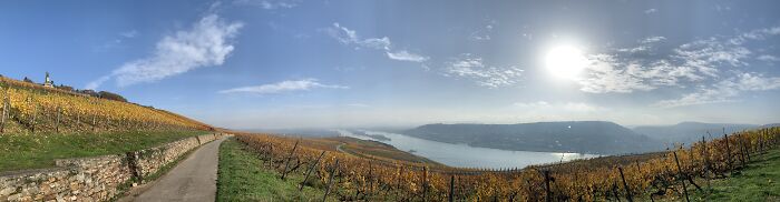 When The Mornings Are A Little Foggy And The Leaves Turn Golden In The Rhine Valley