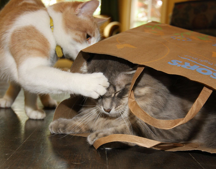 5 Months Pregnant Worker Exposes Her Problematic Boss' Wish To Slap Her To Literally Everyone In The Workspace, Gets Her Fired 5 Months Pregnant Worker Exposes Her Problematic Boss' Wish To Slap Her To Literally Everyone In The Workspace, Gets Her Fired