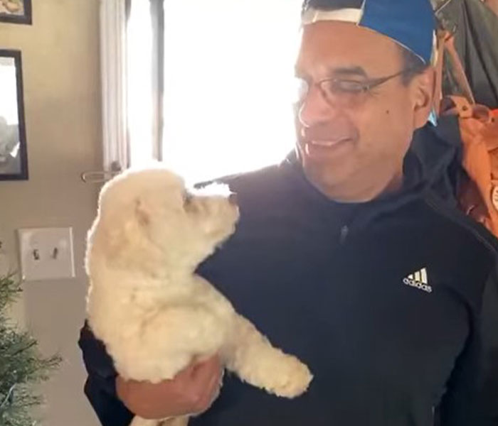 “He Had One Job!”: Husband Goes To Groomers, Comes Home With The Wrong Dog “He Had One Job!”: Husband Goes To Groomers, Comes Home With The Wrong Dog