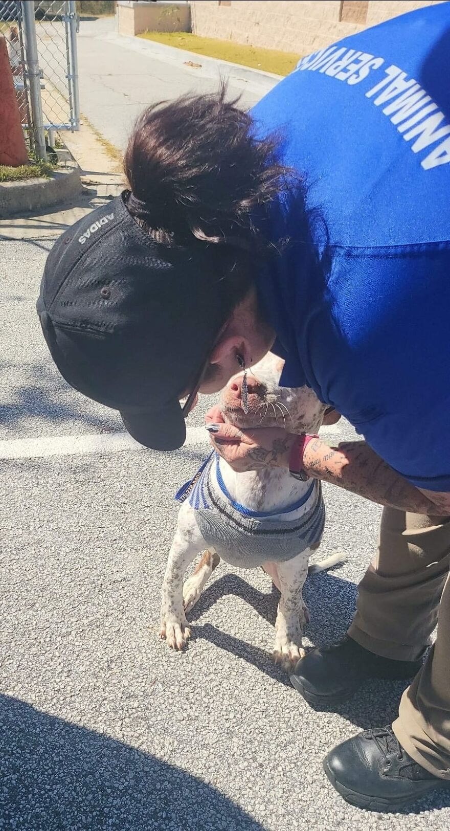 Abandoned Puppy Gets Another Chance At Happiness When Loving People Take Him Into Their Care
