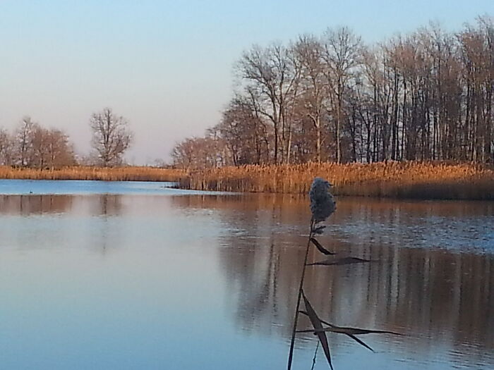 Fall Day In Smyrna Delaware