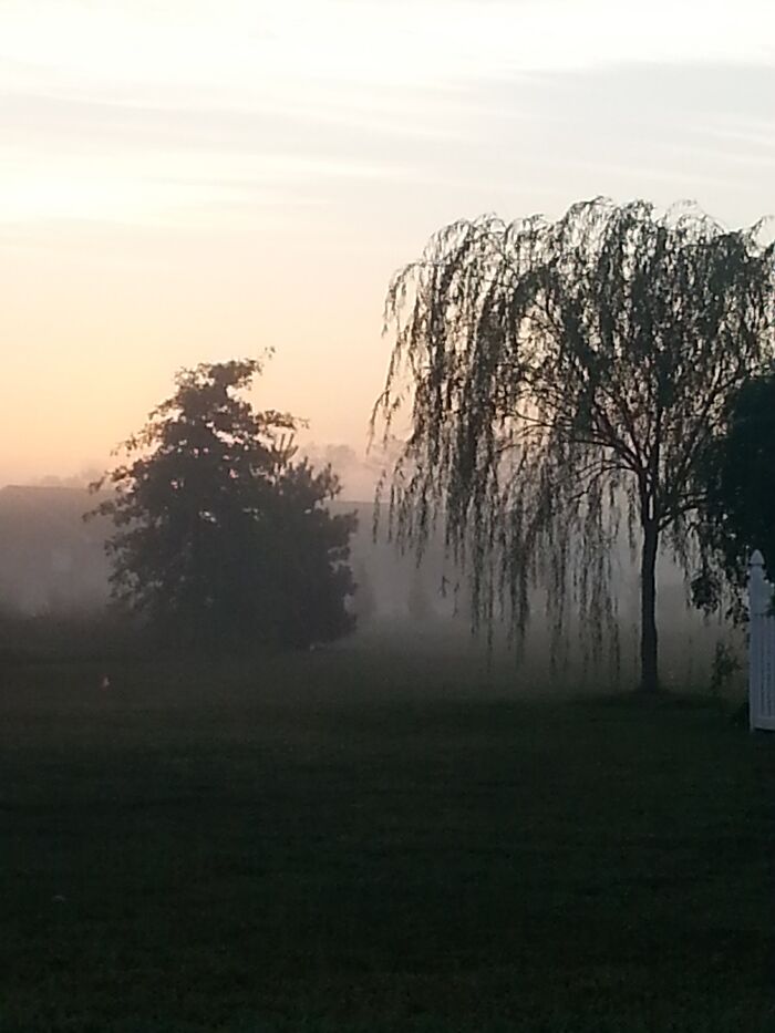 Mist Delaware Morning