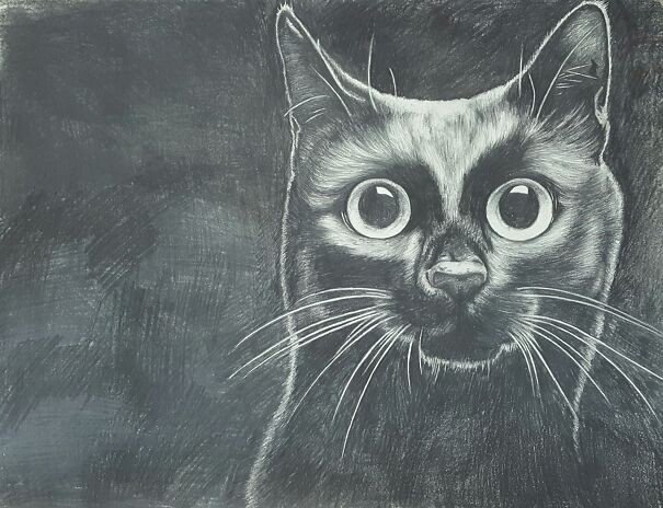 Graphite Meow Meow