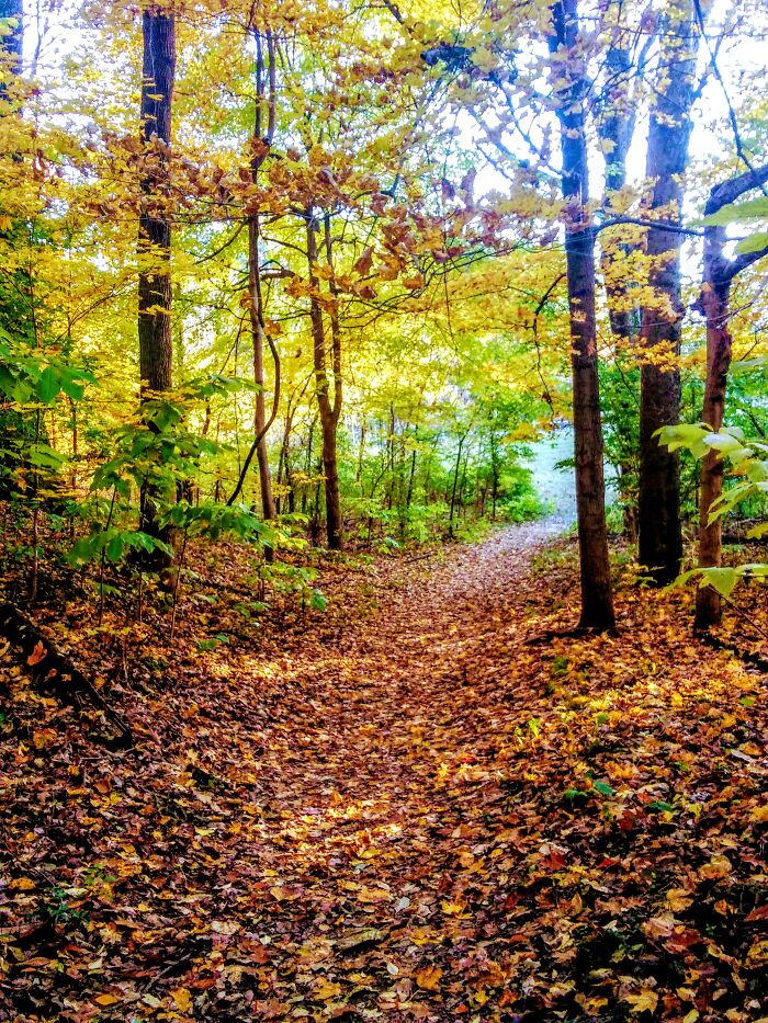 A Fall Hike