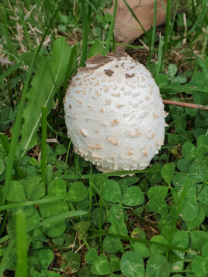 Random Picture From Daily Walk