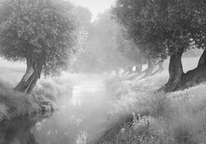 Black And White Commended: Cath Gothard, 'Summer Brook'