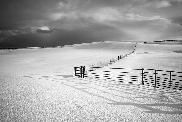Black And White Commended: Martin Watt, 'Fenced Out'
