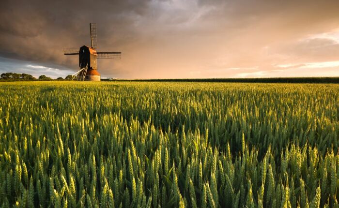 Classic View Commended: Amar Sood, 'Stevington Windmill'