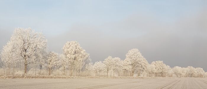 Icy Landscape (View During A Train Ride)