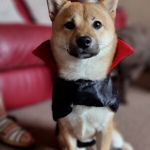 samanthahills avatar