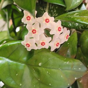 cristina_dumitrescu avatar