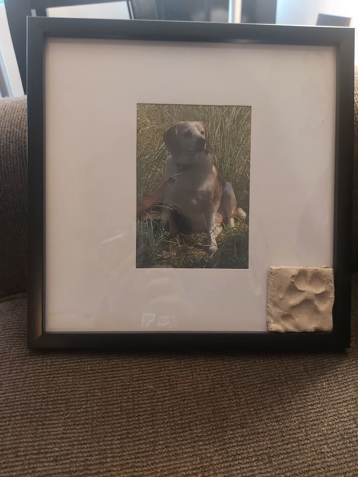 Memorial For My Beloved Pup Charm, Who I Just Lost A Few Days Ago