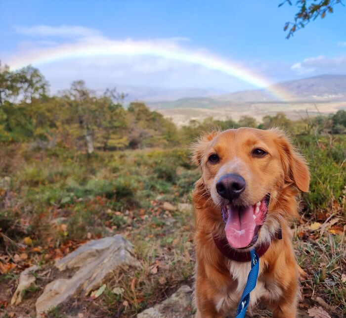 I'm So Proud Of My Boy, Ted. Number 1 Handsome Man!