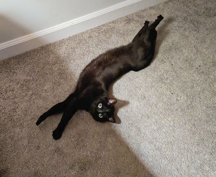 She Does This For Attention