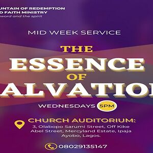 adereminifemi avatar