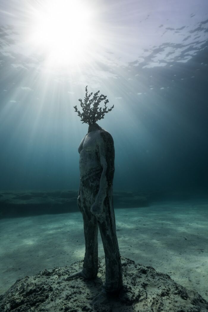 Artista: Jason Decaires Taylor, Museo de escultura subacuática