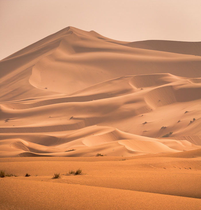 The Paradox Of The Heap