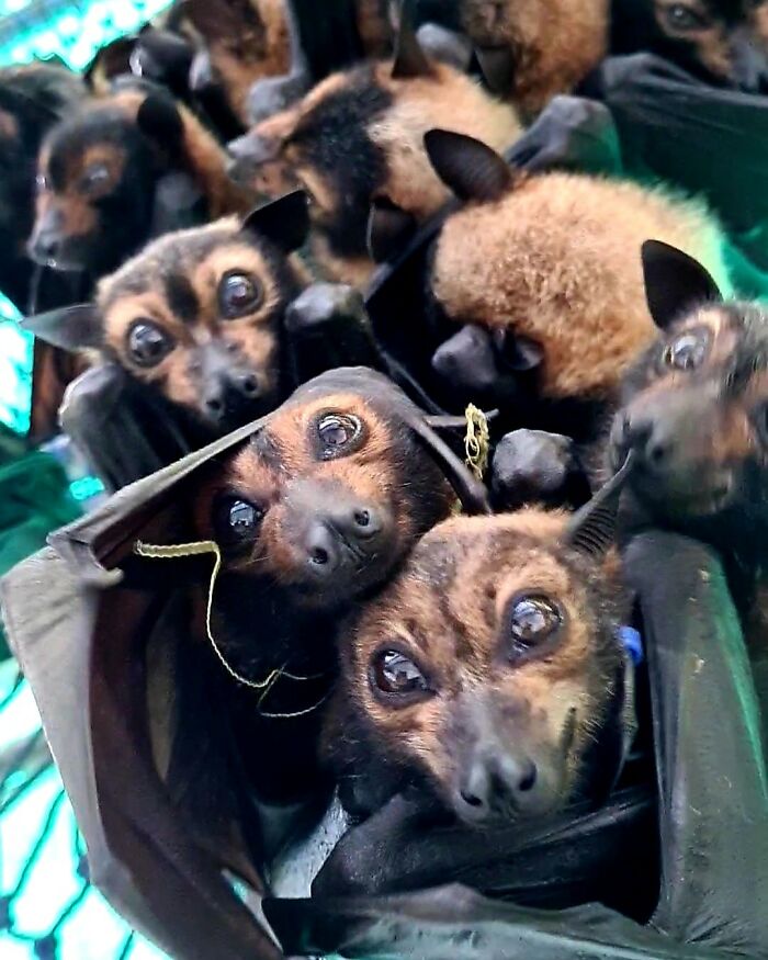 Beautiful Cuddling Babies