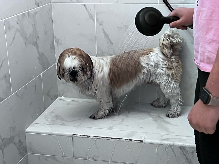 Getting A Bath 😂