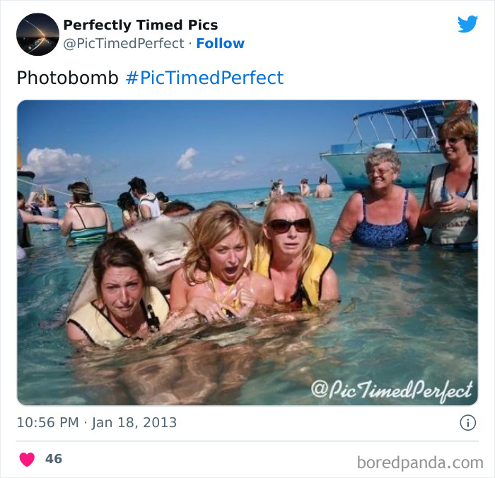 Perfectly-Timed-Pics