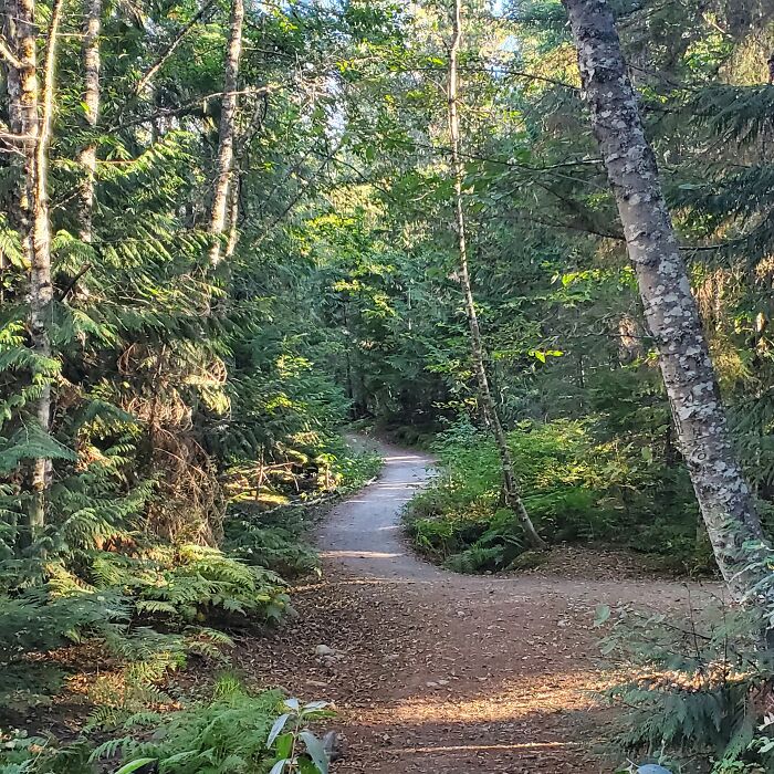 Top 10 Unique Things To See While Visiting The Upper West Coast (30 Pics) Top 10 Unique Things To See While Visiting The Upper West Coast (30 Pics)