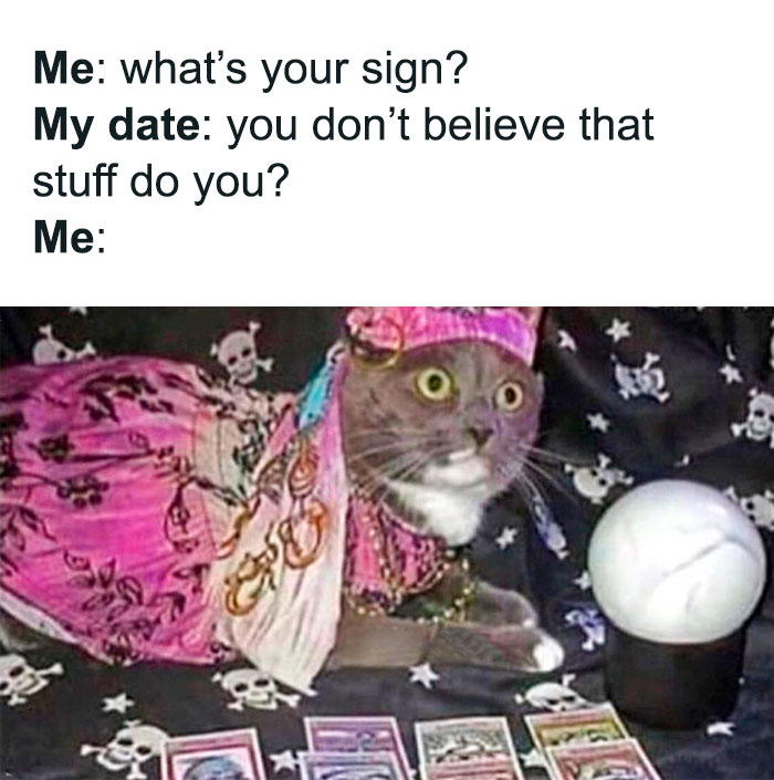 When someone asks 'what's your sign' astrology cat meme