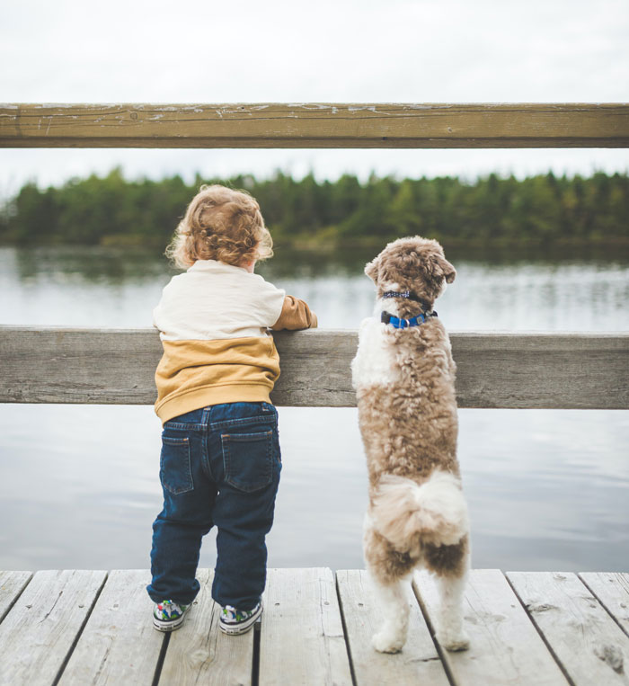 Would You Rather Look After A Pet Or A Baby?