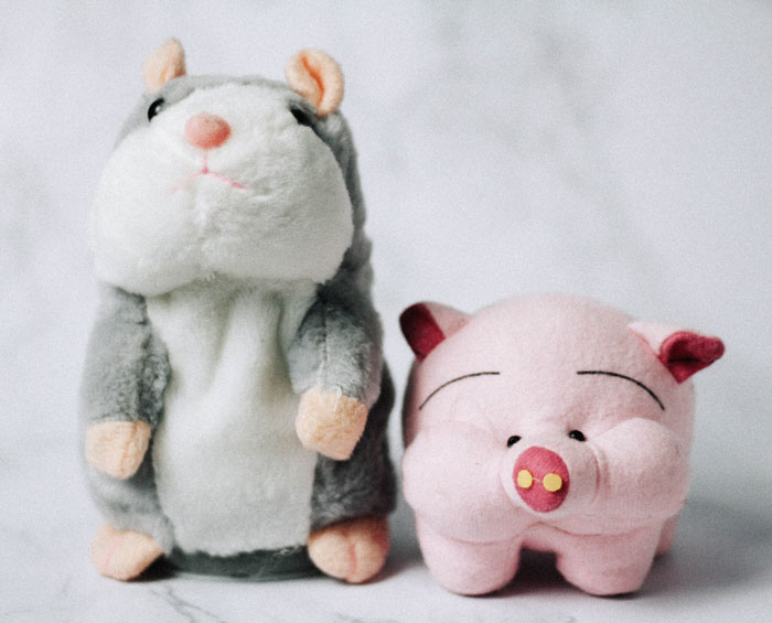 If Your Stuffed Animals Could Talk, What Would They Say?