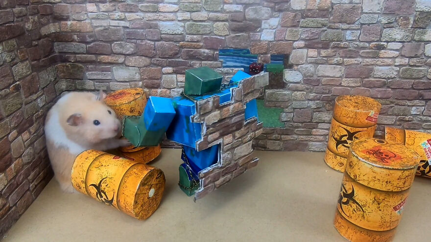 36 Million People Fell In Love With This Brave Hamster Video, Where He's Escaping From A Minecraft-Themed Prison Maze (15 Pics)