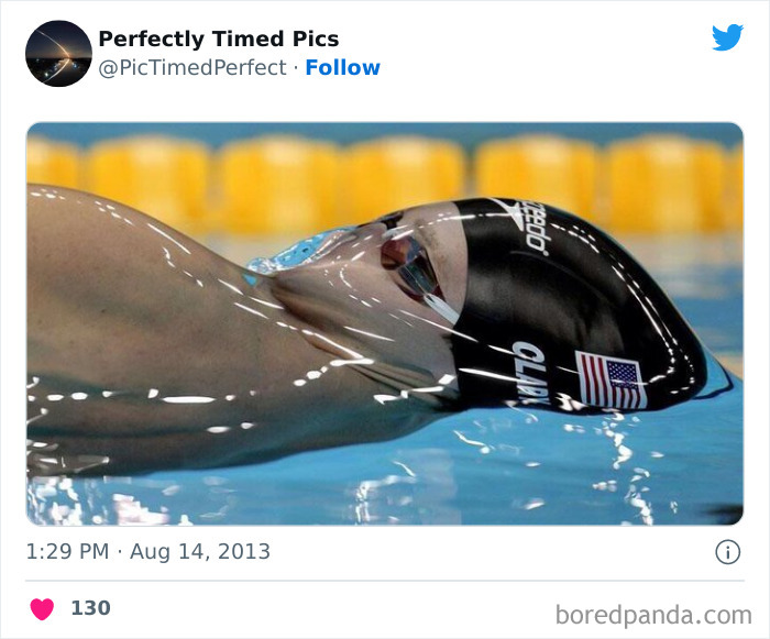 50 "Perfectly Timed Pics" That Might Make You Look Twice