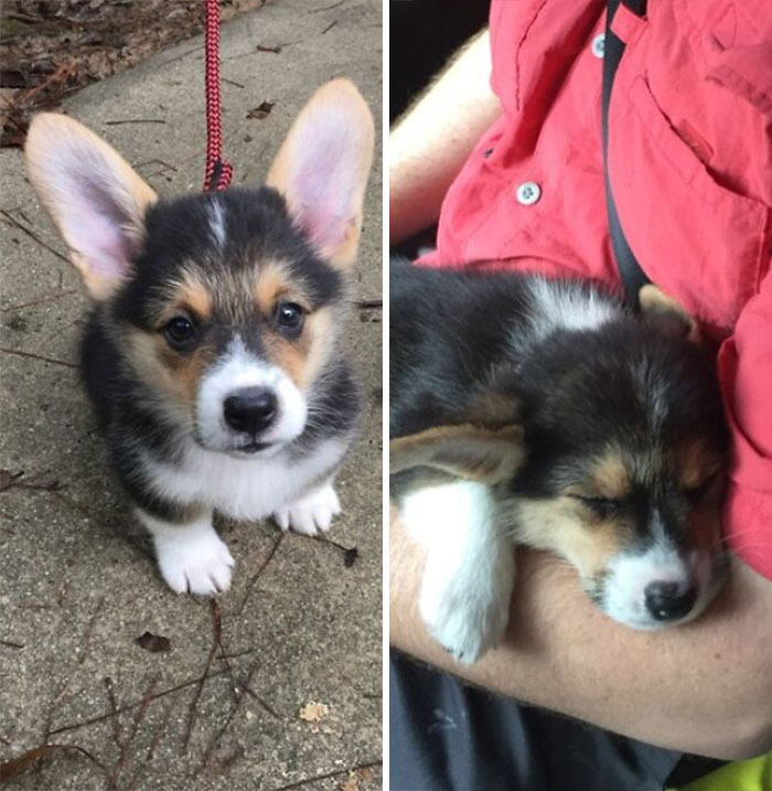 El antes y el después de la primera "caminata" de Ted