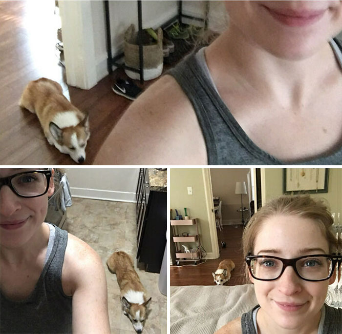 On Lazy Days, My Corgi Reluctantly Follows Me Around The House, Dramatically Flopping Behind Me In Each Room