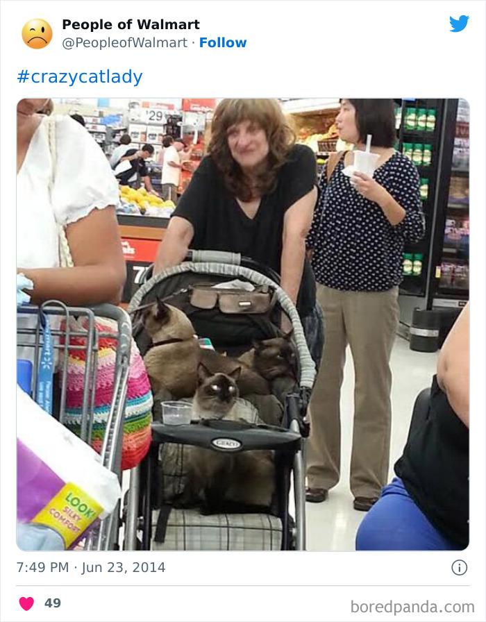 Person with cats in store