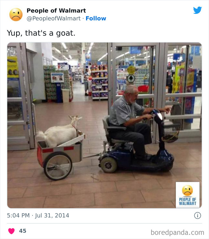 Persong riding with goat in store