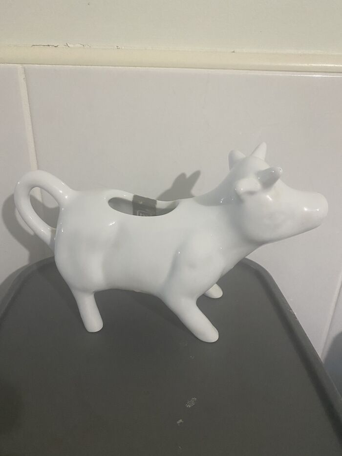 This Cow Milk Jug Haven’t Used It Once