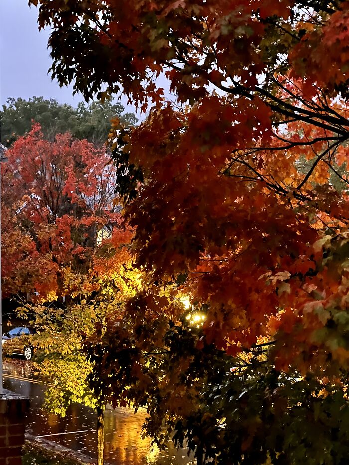 Dusk In Chapel Hill, Nc