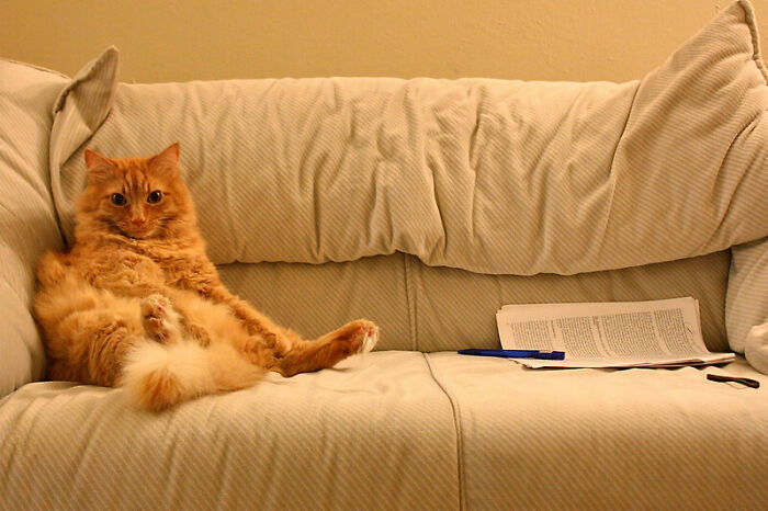 “What's Something That's Considered Normal That Creeps You Out Immediately?” (40 Answers)