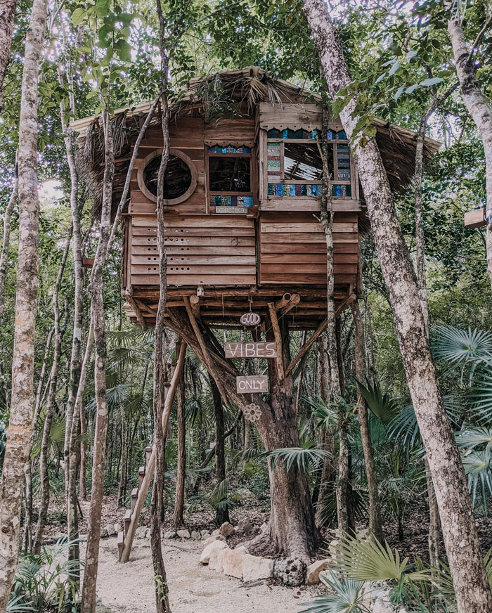 How Would You Design A Treehouse?
