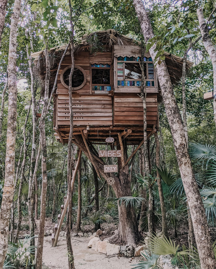 How Would You Design A Treehouse?