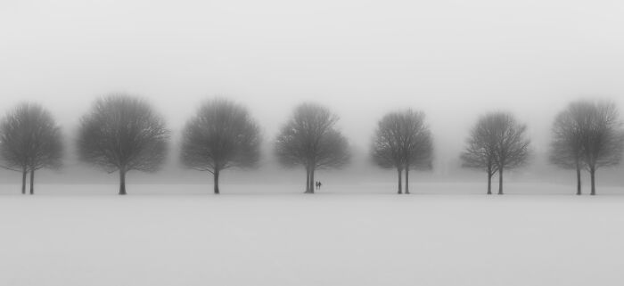 Your View Commended: Sharon Honey, 'Fog'