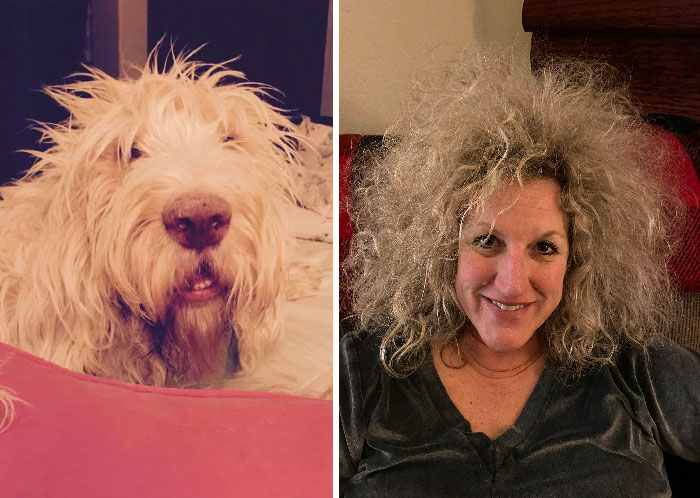 Do You Think Benelli And I Look Alike?