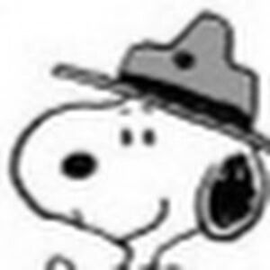 trinaalexknovitch avatar