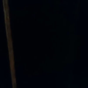 danielbeaudoin_1 avatar