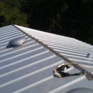 lawrence_caensellia avatar